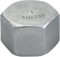 Picture of SS 316 CL150 FNPT Hex Cap #ANHC/6N