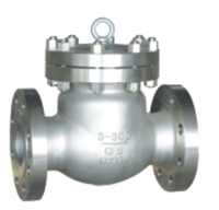 Picture of SS CF8M Swing Check Valve CL 300 Trim 10 Flanged