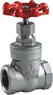 Picture of SS 316 Gate Valve  200 FNPT