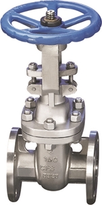 Picture of SS CF8M Gate Valve Trim 10 Class 300 Flanged