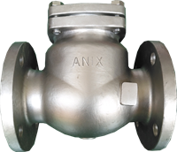 Picture of CS Swing Check Valve Trim8  300 Flanged