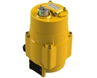 Picture for category Electric Actuator