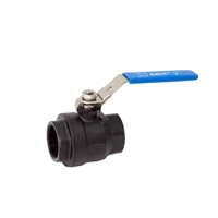 Picture of CS 2-Piece Full Port Ball Valve 2000 RPTFE FNPT