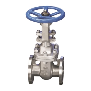 Picture of SS CF8M Gate Valve Trim 10 Class 150 Flanged