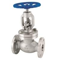 Picture of SS CF8M Globe Valve Class 150 Trim 10 Flanged