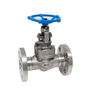 Picture of SS CF8M Globe Valve Class 300 Trim 10 Flanged