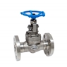 Picture of SS CF8M Globe Valve Class 300 Trim 10 Flanged