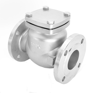 Picture of SS CF8M Swing Check Valve CL 150 Trim 10 Flanged